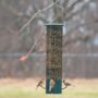 Magnet Squirrel Resistant Feeder - Green -7" x 7" 20.5"