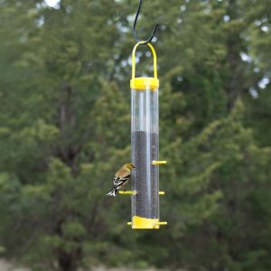 Finch Plastic Feeder Tube - Yellow - 6" x 15"