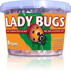 Ladybugs - Orcon Organics