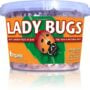 Ladybugs - Orcon Organics