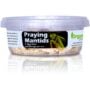 Praying Mantids - Orcon Organics - 100-200