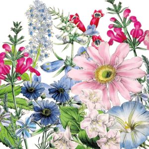 Floriculture Beverage Napkins - Paperproducts Design - 5" x 5"