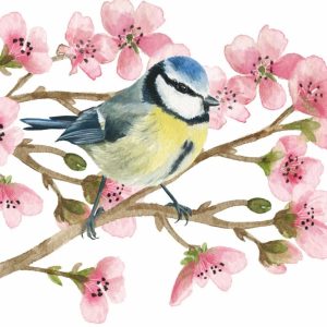 Oiseau Printemps Beverage Napkins - Paperproducts Design - 5" x 5"