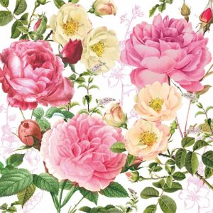 Rosalie Beverage Napkins - Paperproducts Design - 5" x 5"