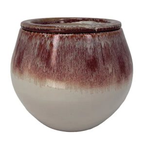 Sahara Self -Watering Pot – Border Concepts -Red/White – 5″