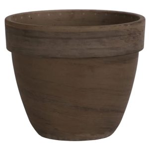 German Levente Pot – Border Concepts – Chocolate – 13.75″