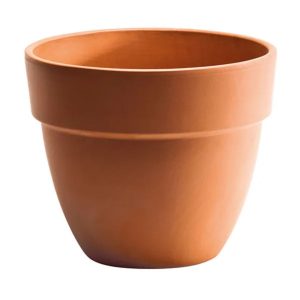 Italian Padova Pot - Border Concepts -Terra Cotta - 8"