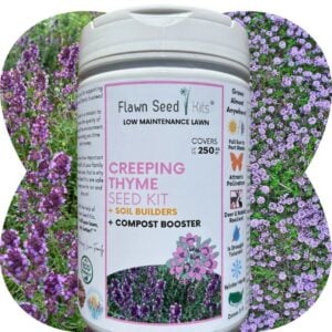 Creeping Thyme Kit - Flawn Seed - 500 SQ FT