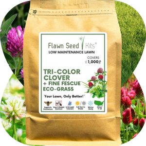 Tri Color Low Mow - Flawn Seed - 1000 SQ FT