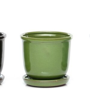 Tomorrow Petits Attached Saucer – Alfresco – Green – 6″