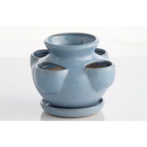 Strawberry Jar With Attached Saucer – Alfresco – Aqua – 9.75″