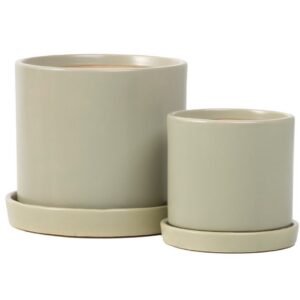 Petit Cylinder Attached Saucer - Alfresco - Green - 7"