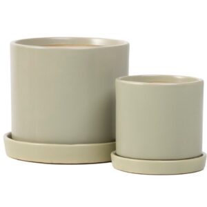 Petit Cylinder Attached Saucer - Alfresco - Green - 5"