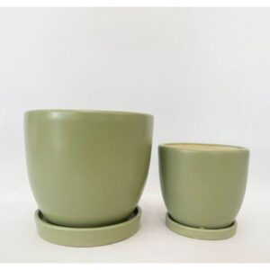 Petit Egg Pot Attached Saucer - Alfresco - Sage - 7"