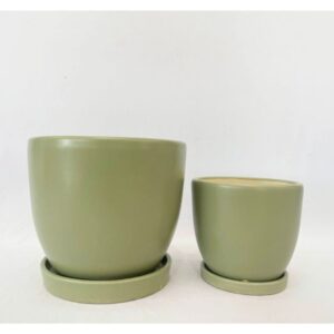 Petit Egg Pot Attached Saucer – Alfresco – Sage – 5″