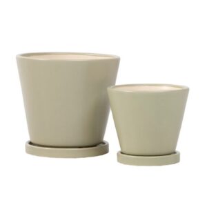 Petit Taper Attached Saucer - Alfresco - Sage - 5"