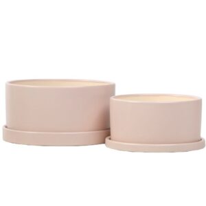 Dish Garden With Attached Saucer - Alfresco - Taupe - 9"