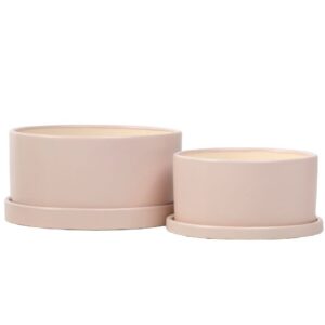 Dish Garden With Attached Saucer - Alfresco - Taupe - 7"