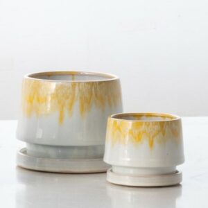 Nicola Petit Attached Saucer - Alfresco - Yellow - 5.75"