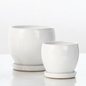 Chary Petits Attached Saucer - Alfresco - White - 6"