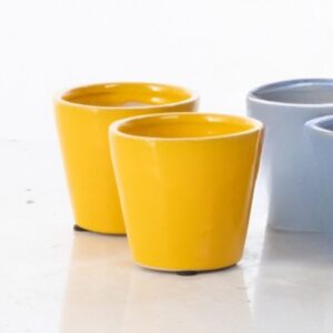 Marianno Mini Pot - Alfresco - Yellow - 3.5"