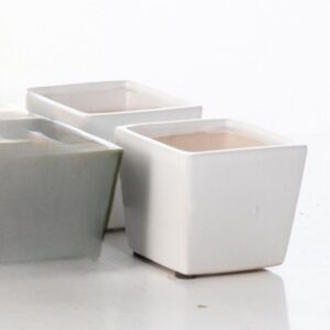 Caspen Mini Pot - Alfresco - White - 3.5"