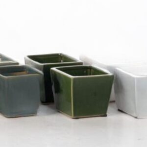 Caspen Mini Pot - Alfresco - Green - 3.5"