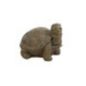 Snapping Turtle Statue – Athens – Aged Pine – 5″ x 7″ x 8″