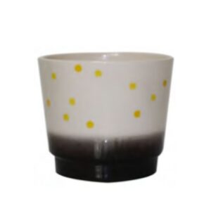 Daejo Dots Pot – Foliera – Black – 5″