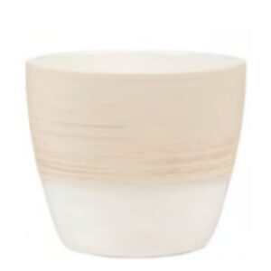 Vanilla Cream Planter – Foliera – 5.5″