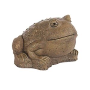 Medium Frog Sculpted Eyes - Athens - Aged Pine - 4" x 5" x 5"