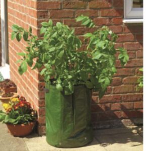 Potato Tub - Gardman® -2 Pack
