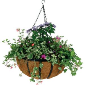 Forge Hanging Basket with Coco Liner - Black - 12"