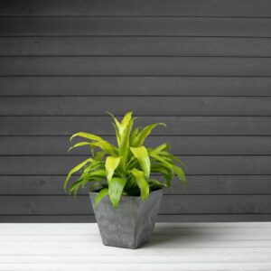 " Artstone Ella Square Planter - Grey - 10"""