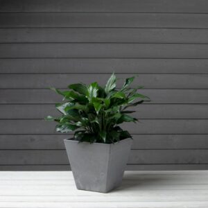 Artstone Ella Square Planter - Grey - 12"
