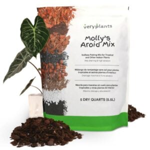 Molly’s Aroid Mix – Veryplants – 5 QT