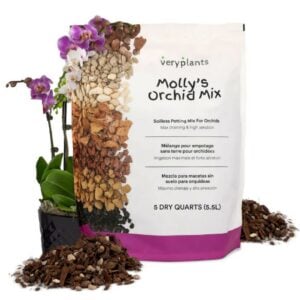 Molly’s Orchid Mix – Veryplants – 5 QT