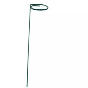 Blossom Support - 2" Loop - Green - 24"