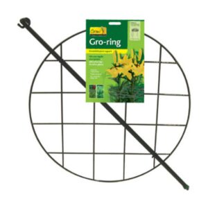 Grow Through Hoops - 3 Legs - Green - 12"