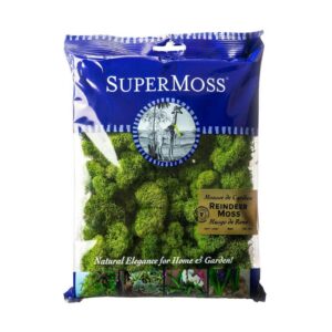 Reindeer Moss - SuperMoss - Basil - 120 CU IN