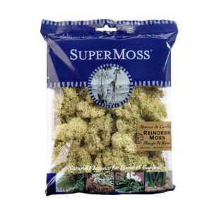 Reindeer Moss - SuperMoss - Moss Green - 120 CU IN