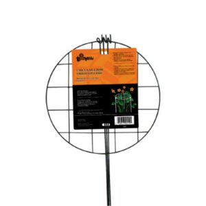 Circular Grow Through Grid - Green - 20"