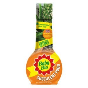Succulent Food Concentrate - Baby Bio - 5.9 oz