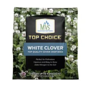 White Clover - Mountain View Seeds - 2 lb