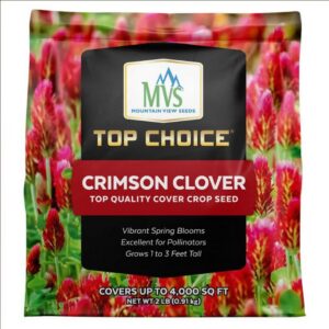 Crimson Clover - Mountain View Seeds - 2 lb