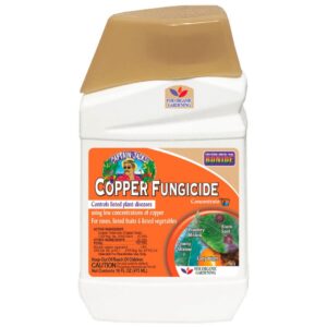 Liquid Copper Fungicide Concentrate - Bonide - 1 Pint