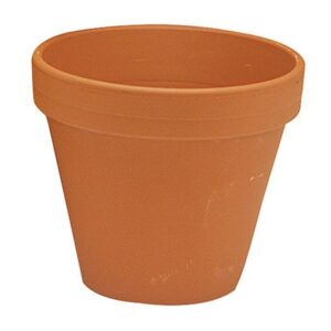 German Standard Pot - Border Concepts - Terra Cotta - 5"