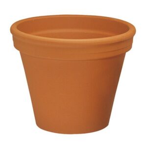 German Standard Pot - Border Concepts - Terra Cotta - 12.25"