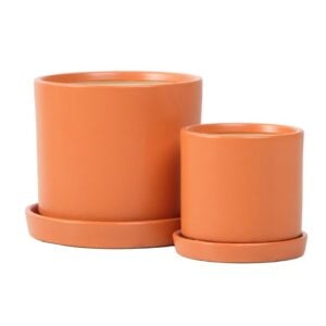 Petie Cylinder Pot Attached Saucer – Alfresco – Orange – 7″