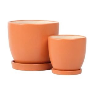 Petie Egg Pot Attached Saucer – Alfresco – Orange – 5″
